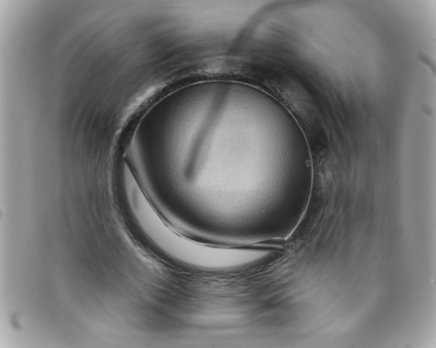 X0000097780728200803211758