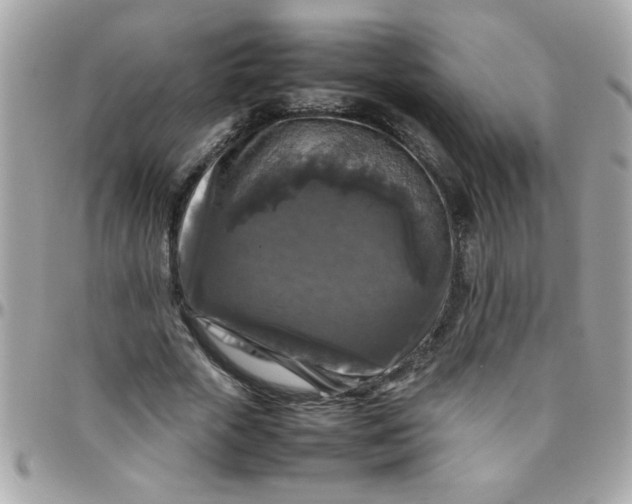 X0000097780729200803211758