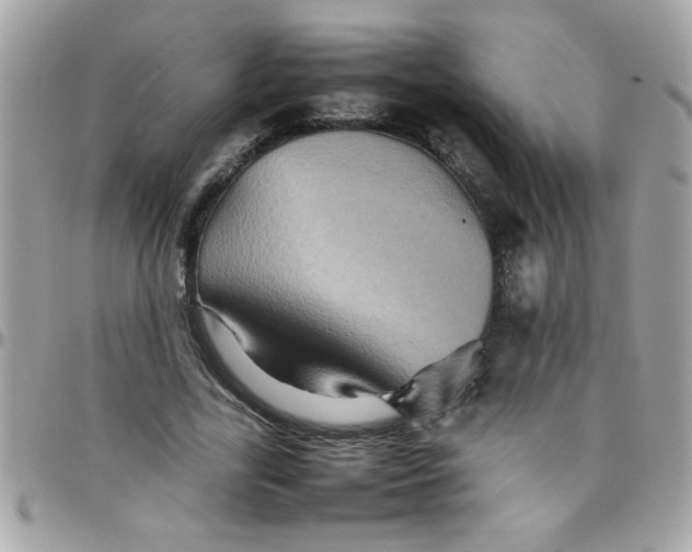 X0000097780731200803211758