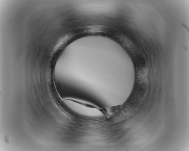 X0000097780732200803211758