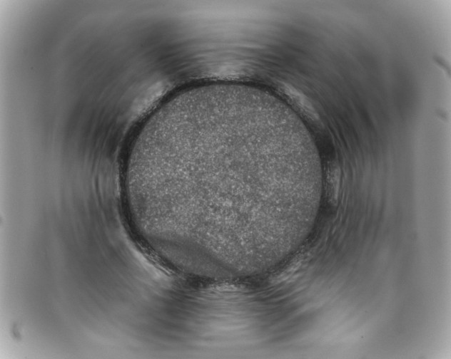 X0000097780734200803211758