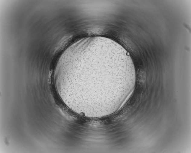 X0000097780738200803211758