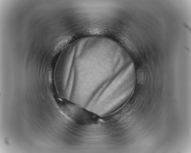 X0000097780740200803211758