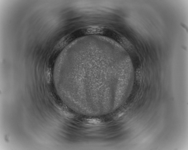 X0000097780741200803211758