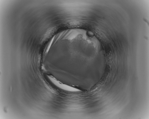 X0000097780742200803211758