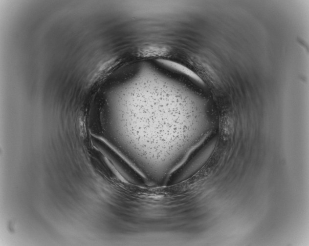 X0000097780743200803211758