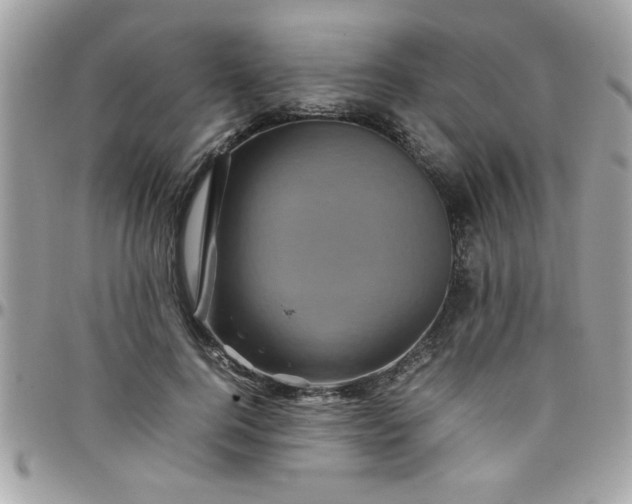 X0000097780744200803211758