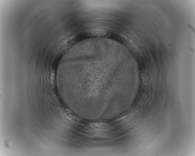 X0000097780745200803211758