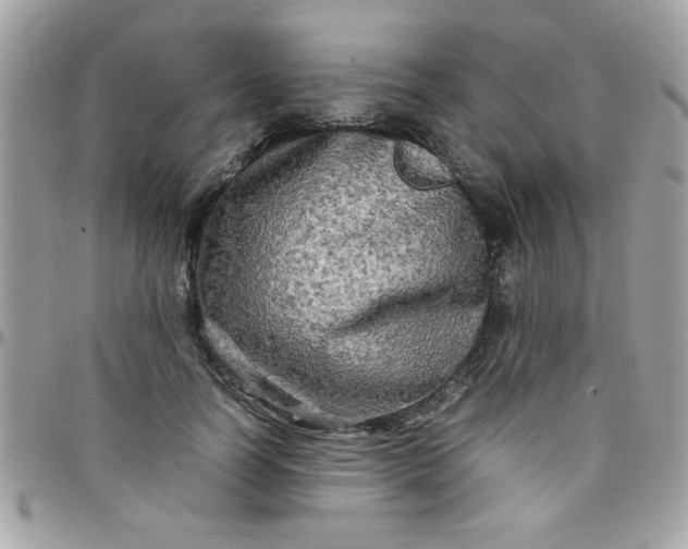 X0000097780746200803211758