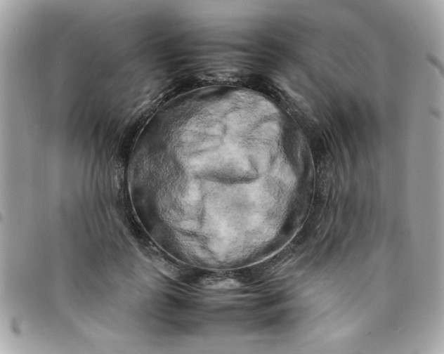 X0000097780747200803211758