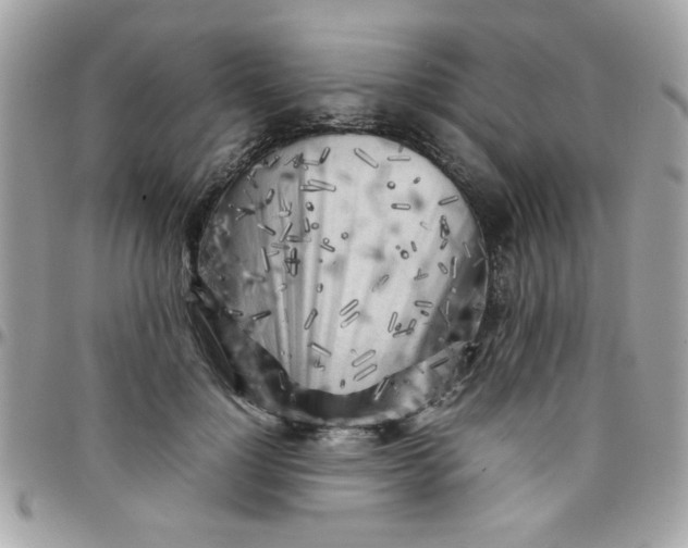 X0000097780748200803211758