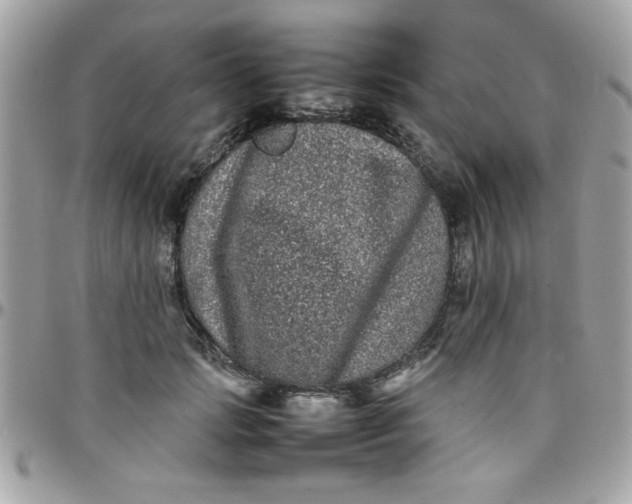 X0000097780749200803211758