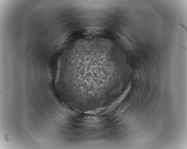 X0000097780751200803211758