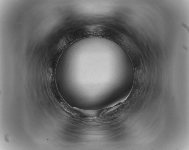 X0000097780752200803211758