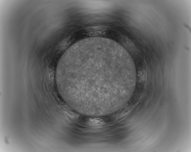 X0000097780753200803211758