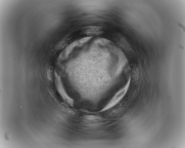 X0000097780755200803211758