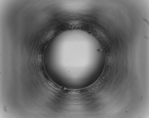 X0000097780756200803211758