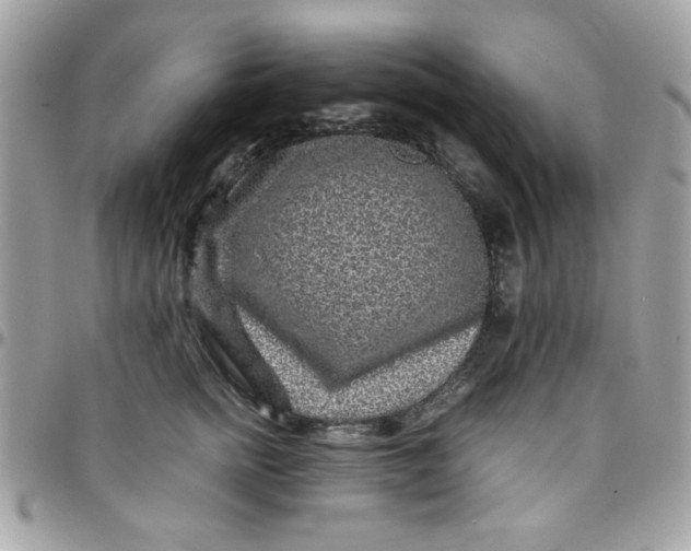 X0000097780758200803211758