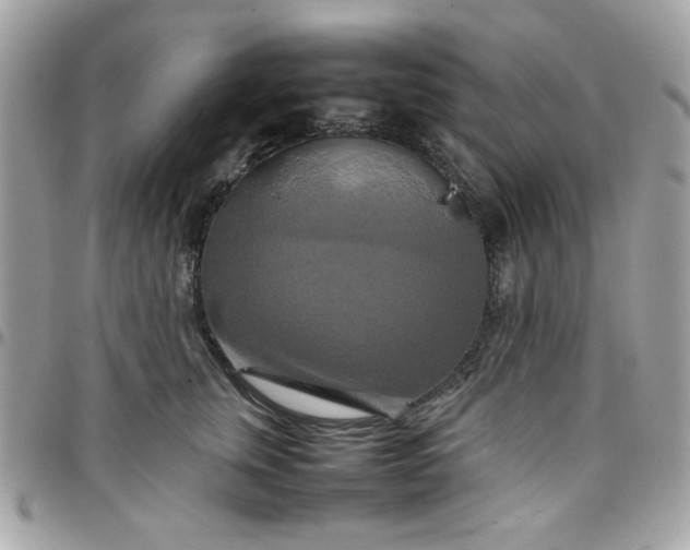 X0000097780759200803211758