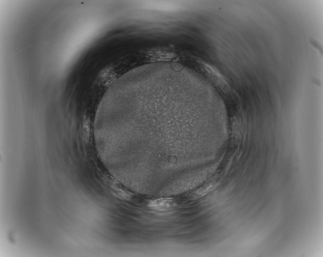 X0000097780761200803211758