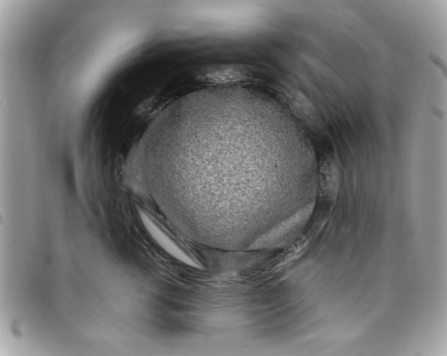 X0000097780762200803211758