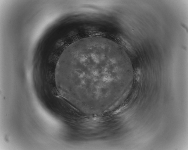 X0000097780763200803211758