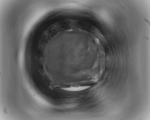 X0000097780765200803211758