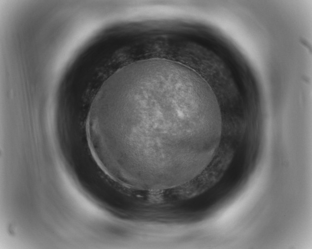 X0000097780766200803211758