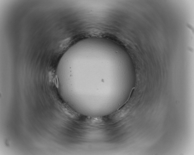 X0000097780768200803211758