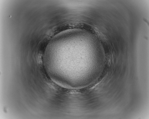 X0000097780770200803211758