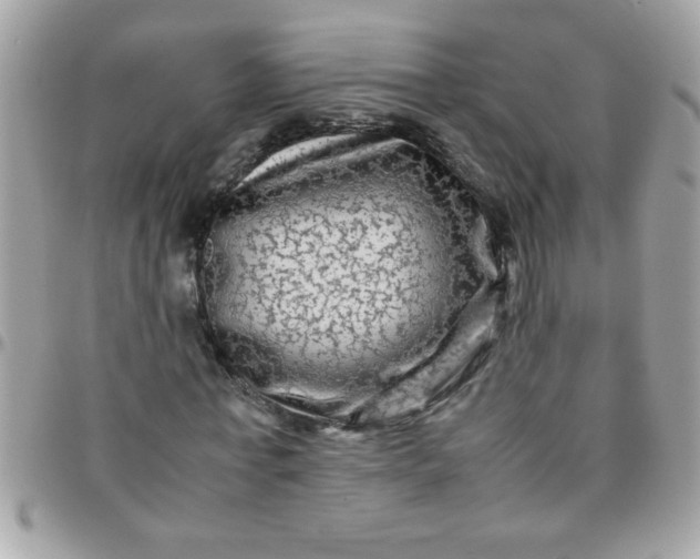 X0000097780771200803211758