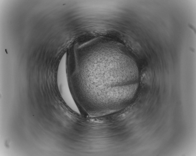 X0000097780772200803211758