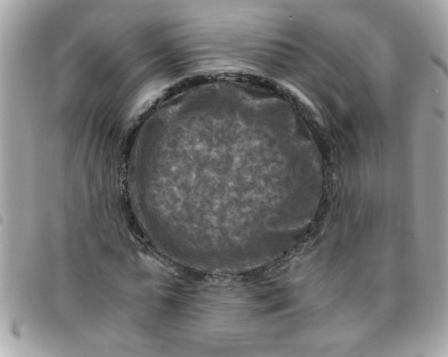 X0000097780775200803211758