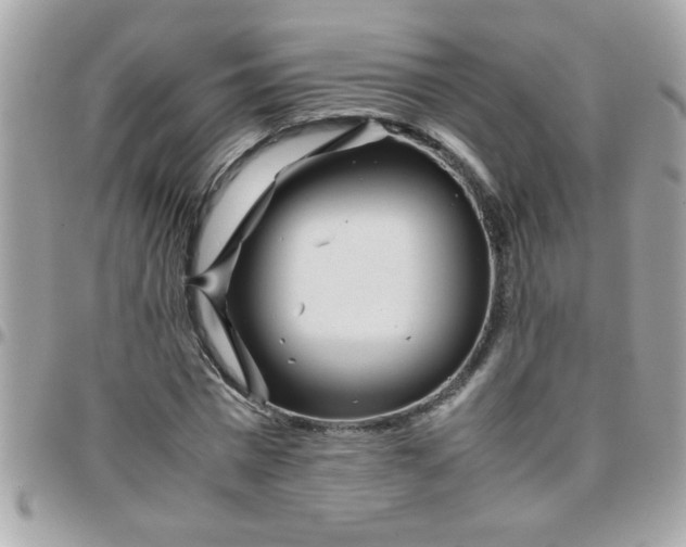 X0000097780777200803211758