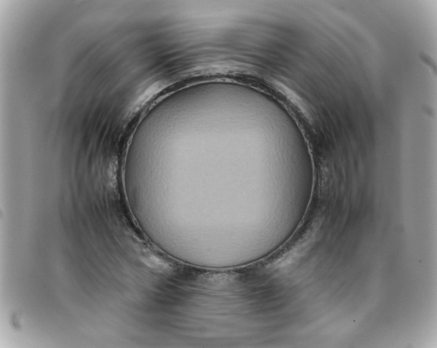 X0000097780778200803211758