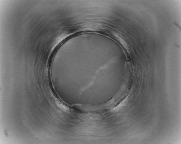 X0000097780779200803211758