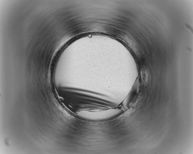 X0000097780780200803211758