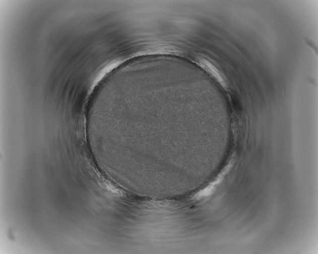 X0000097780781200803211758