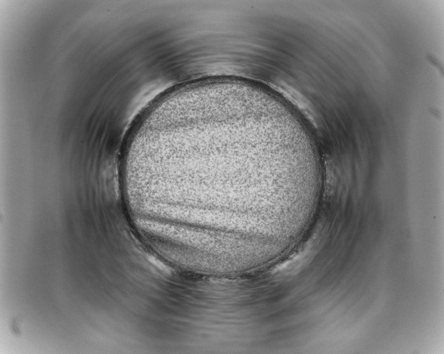 X0000097780782200803211758