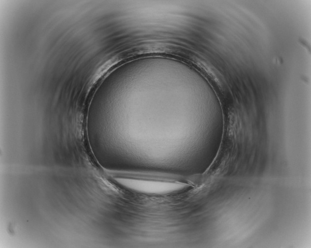 X0000097780786200803211758