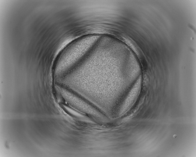 X0000097780787200803211758