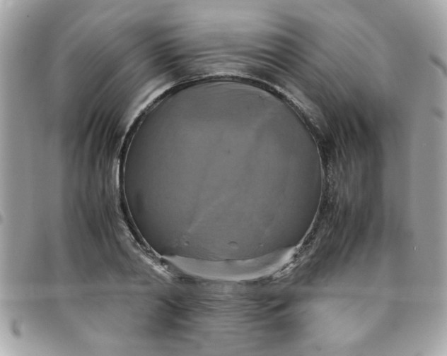 X0000097780790200803211757