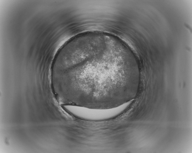 X0000097780791200803211757