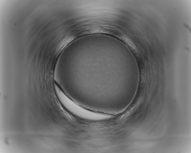 X0000097780793200803211757