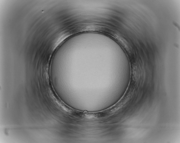 X0000097780794200803211757