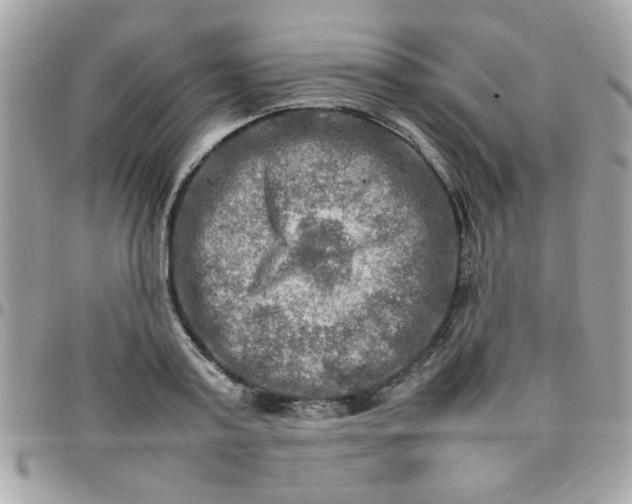 X0000097780795200803211757