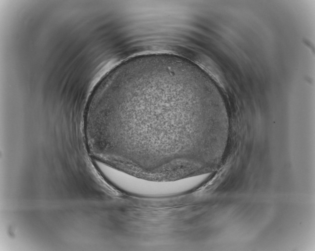 X0000097780797200803211757