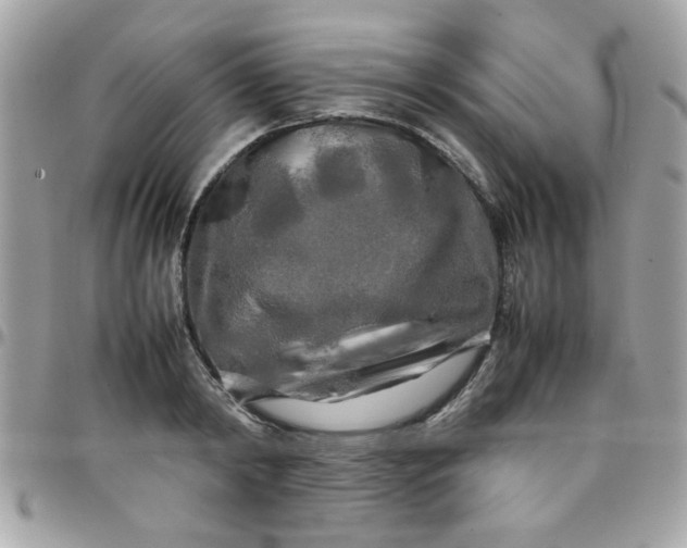 X0000097780798200803211757