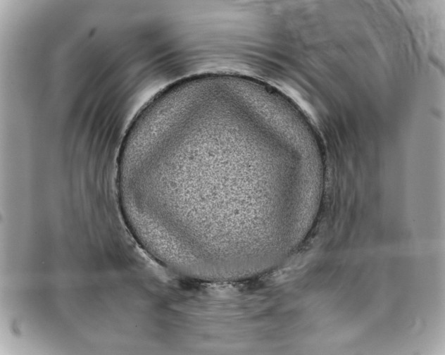 X0000097780799200803211757