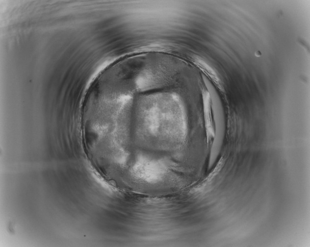 X0000097780800200803211757